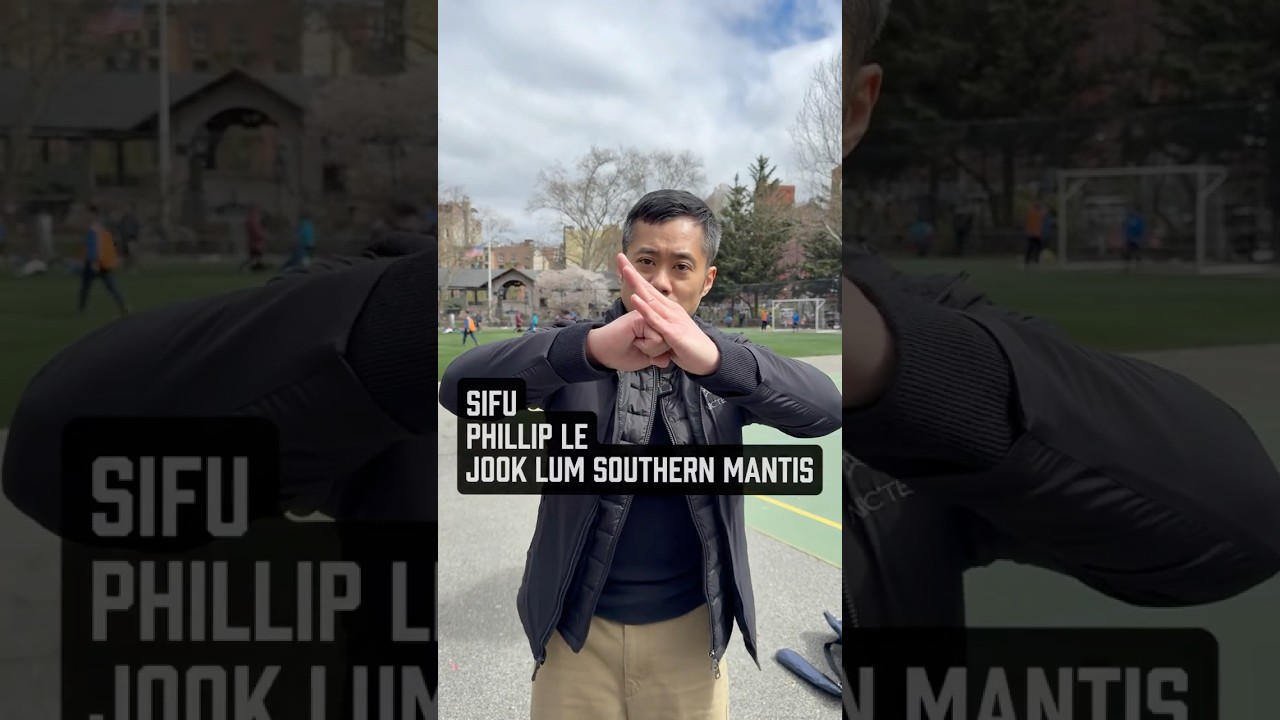 Vault25 NYC : Sifu Phillip Le on “Structural Power”, Jook Lum Southern Praying Mantis