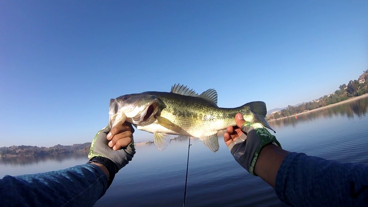 Fall bass fishing at Puddingstone Lake YouTube