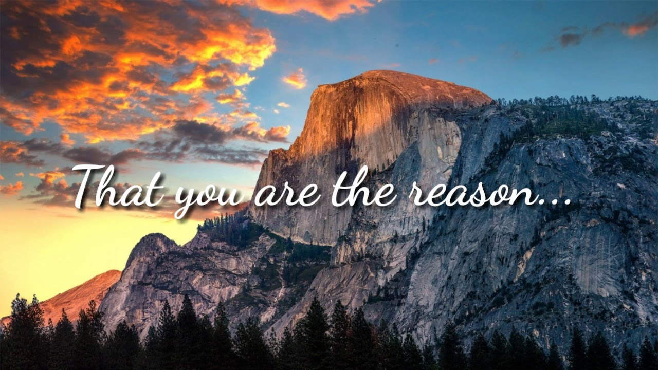 You Are The Reason _ calum scott ( LYRICS ) - YouTube