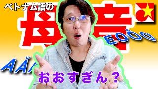 ベトナム語 とても大事な母音12個の発音を紹介します！たくさんあって覚えられる気がしない？でも大丈夫！諦めずに一緒に覚えてみましょう！【発音】