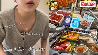 [vlog]토스트 만들다 남편이 로또 번호 고백한 이슈에 관하여 | 코스트코 쇼핑 추천템 | 하이디라오 첫 입문🥢| 눈물없이 들을 수 없는 카레썰 | 신혼부부 일상 브이로그