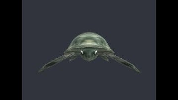 3D Model of turtle - file TRTL_GRN.3DS