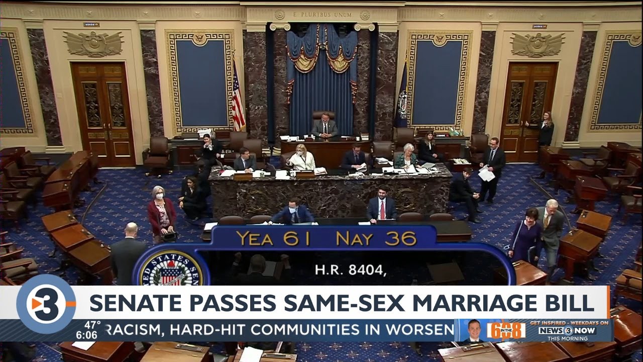 Landmark Same Sex Marriage Bill Wins Senate Passage Youtube