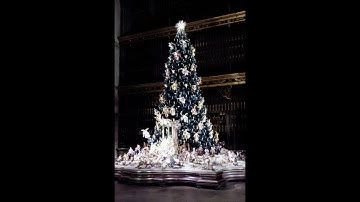 A REALISTIC ADVENT Advent 2, 2025