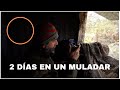 2 DIAS EN UN MULADAR Fotografiando buitres / Sierra de Andújar