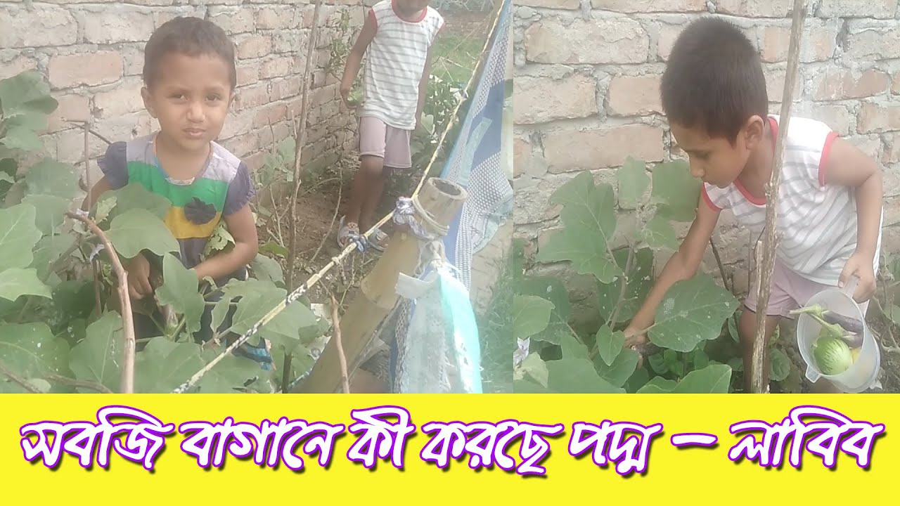 সবজি বাগানে কী করছে পদ্ম - লাবিব || Natural Life With Poddo 2023 - YouTube