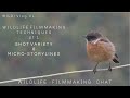 WILDLIFE FILMMAKING TECHNIQUES pt 1 - Shot Variety and Micro-Storylines  WILD! Vlog XL