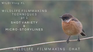 WILDLIFE FILMMAKING TECHNIQUES pt 1  Shot Variety and MicroStorylines  WILD! Vlog XL