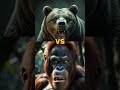 Who’s the King of the Wild? #AnimalFight #WildlifeBattle #Shorts #AnimalKingdom #YouTubeShorts