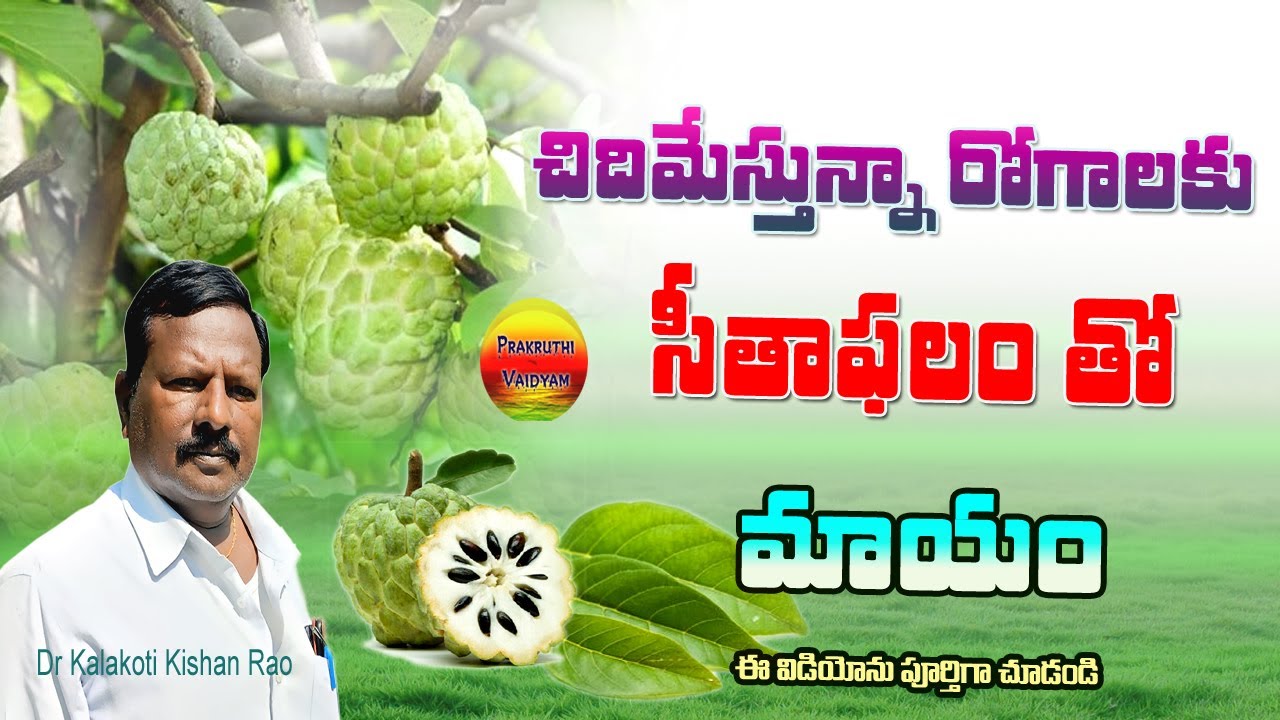 Surprising Benefits Of Cherimoya surprising-benefits-of-cherimoya