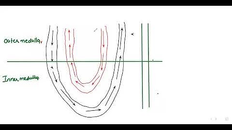 Gfr can be decreased with extensive ______ stimulation.