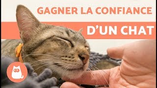 Comment gagner la confiance d’un chat ? – 5 Conseils efficaces !