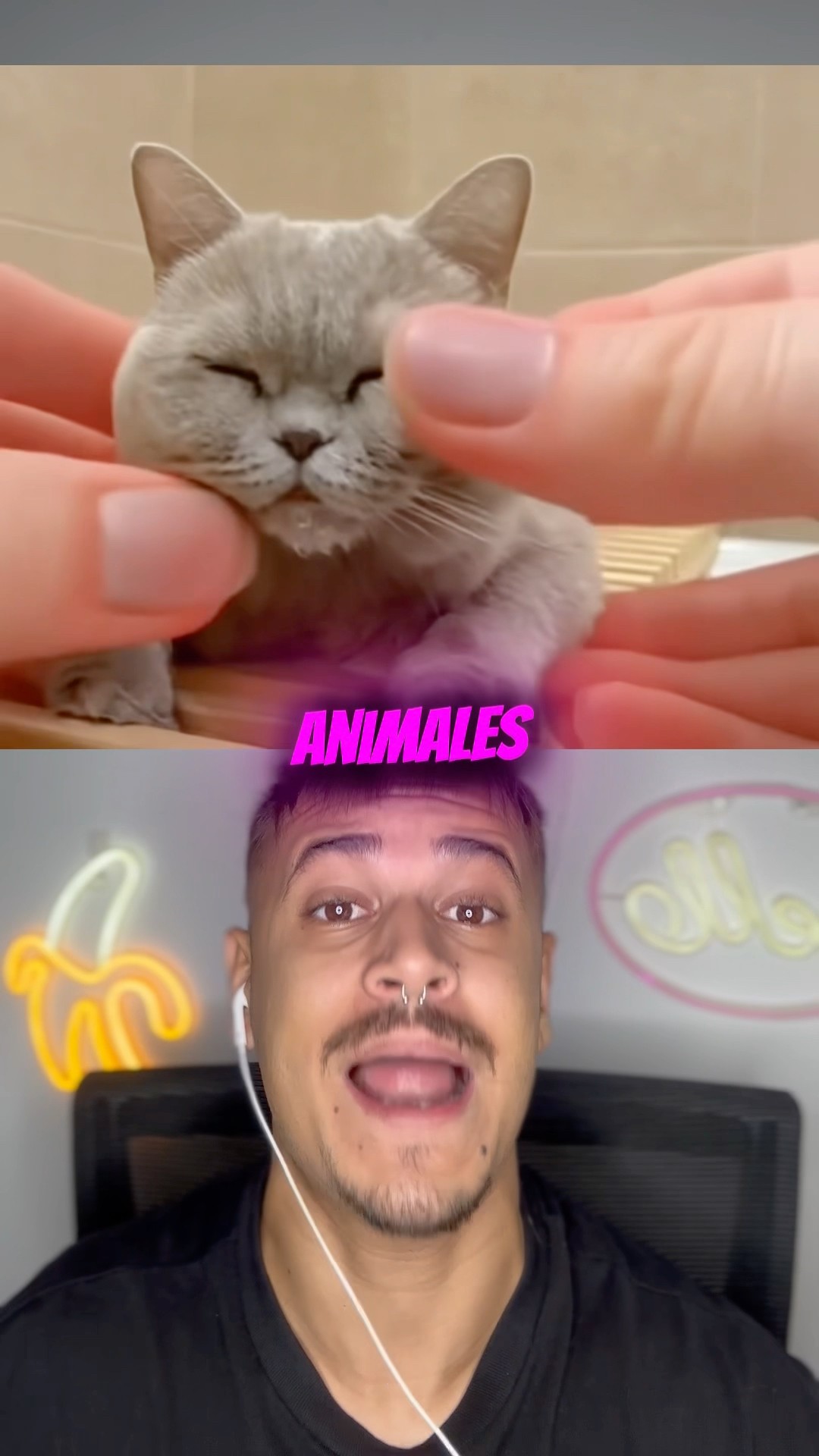 Peores Maneras En Que Los Animales Han Perdido La Vida Parte 13 ? #shorts