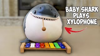 Cute Baby Shark Plays 