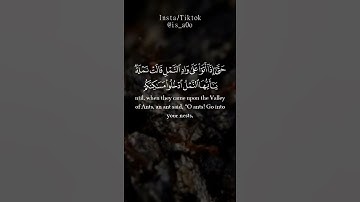 سورة النمل ❤️/ اسلام صبحي 🌹/ حالات قرانية 🍃