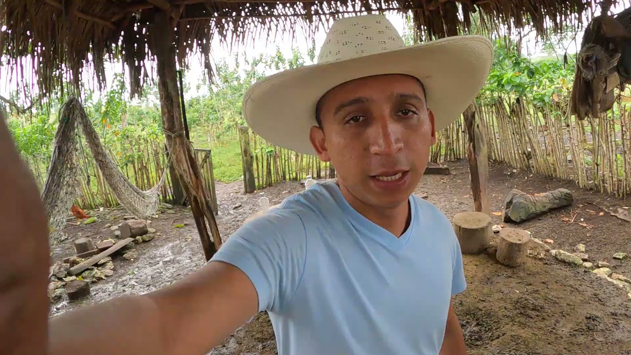 PARTE 2 ACEITE PARA LA MOSCA DE TU GANADO