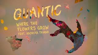 Quantic - Where The Flowers Grow (feat. Andreya Triana) (Official Audio)