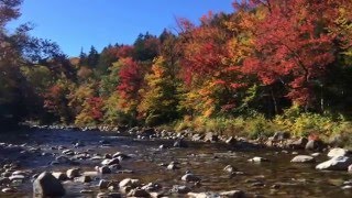 Kancamagus Highway Fall Leaves New Hampshire 2015