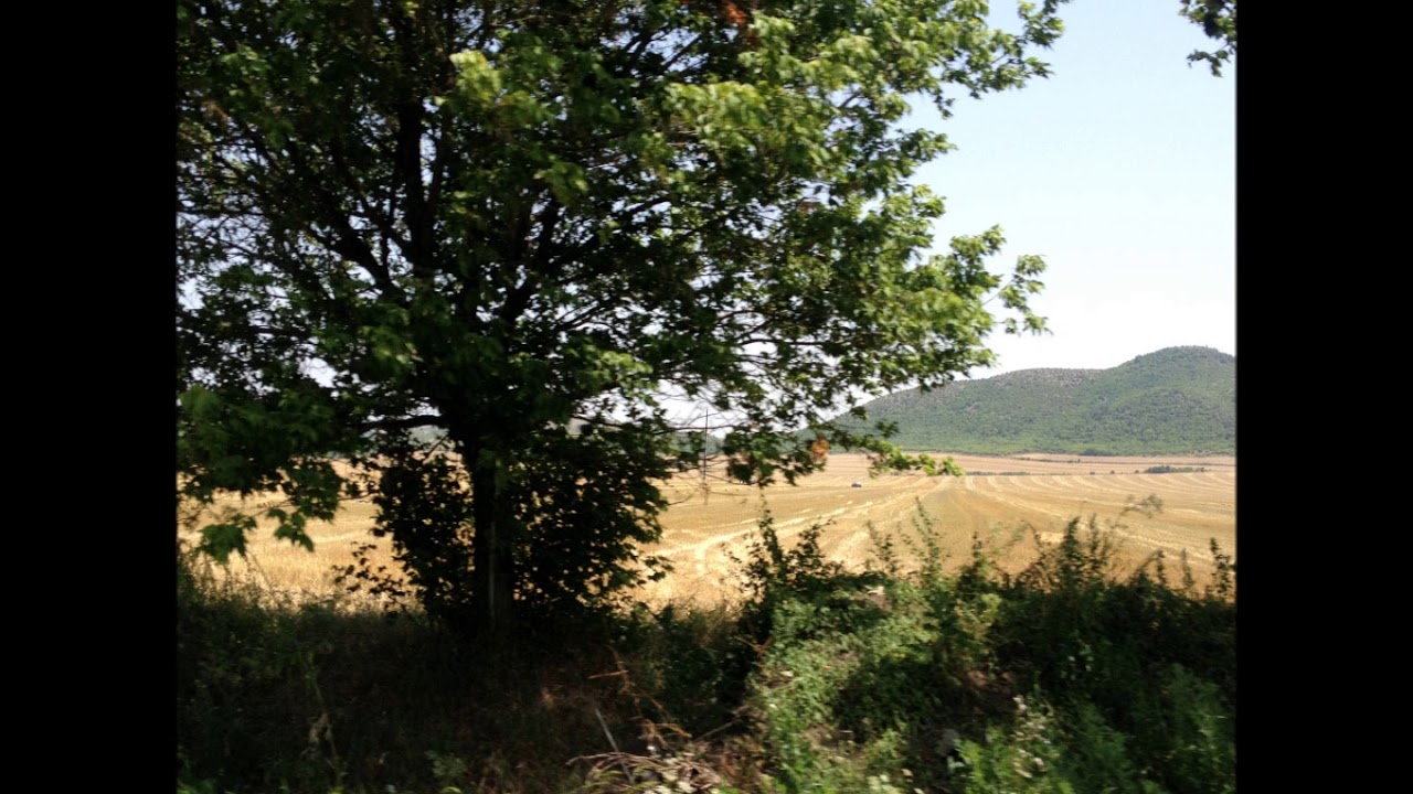 Anadır Başların Tacı - Nazif Ademov