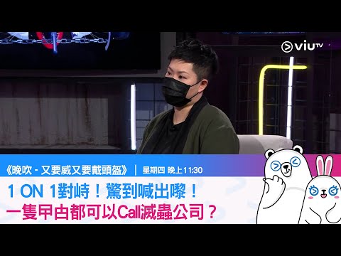 《又要威又要戴頭盔》1 ON 1對峙！驚到喊出嚟！一隻曱甴都可以Call滅蟲公司？