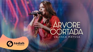 Valesca Mayssa | Árvore Cortada [Todah 10 Anos Ao Vivo]