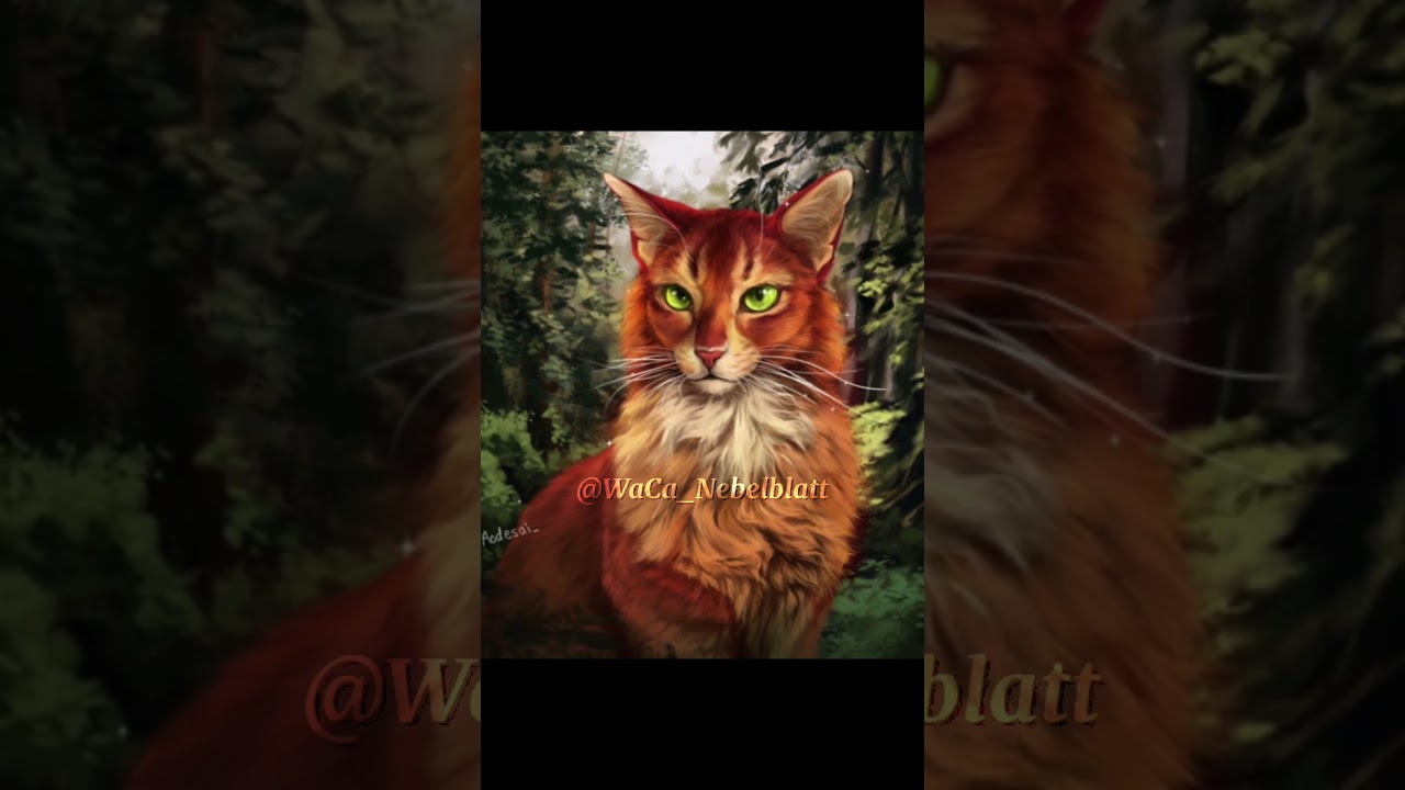 Is Firestar the best ThunderClan leader? 🤔🤨 