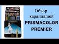 Обзор карандашей Prismacolor Premier для раскрасок-антистресс