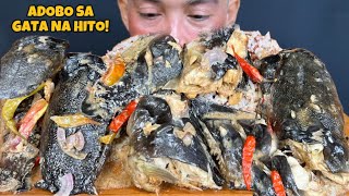 Adobo sa Gata na Hito Mukbang Asmr | Spicy PINOY Adobo | Filipino Food Mukbang Philippines