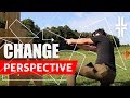 BIG CHANGE in how you see TRAINING