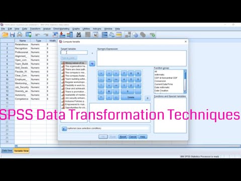 SPSS Data Transformation Techniques | How to perform Data Transformation in SPSS