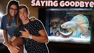 Surprising Her With Fish For College Dorm!? (Saying Goodbye  SAD)