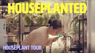 Inside @unplantparenthood's loft with a jaw-dropping rare plant collection | Houseplanted