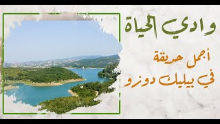 وادي الحياة  في بيليك دوزو :: أحد أجمل حدائق اسطنبول