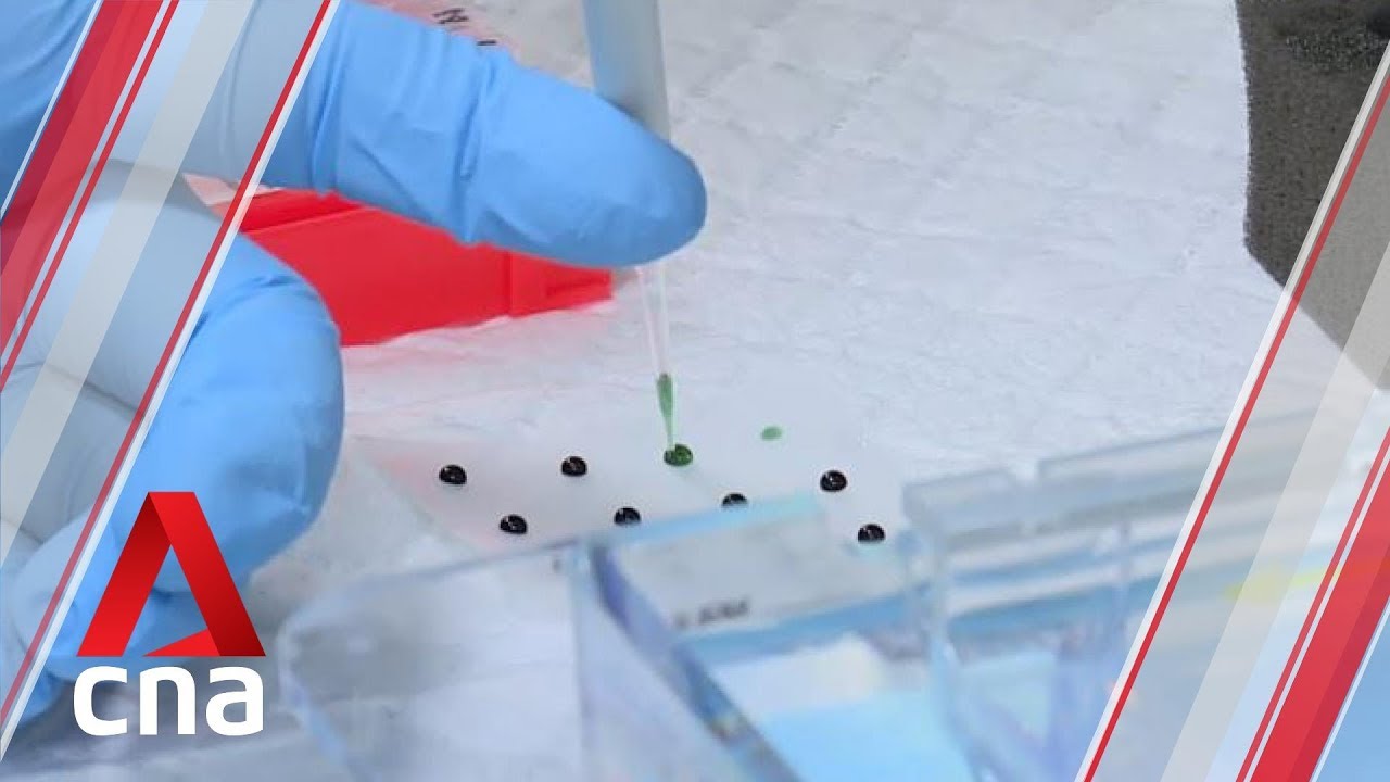 Bacteria in 2015 GBS outbreak widespread in Southeast Asia for two decades: Researchers