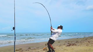 Fisherman Lands Rare 6ft Fish at the Beach