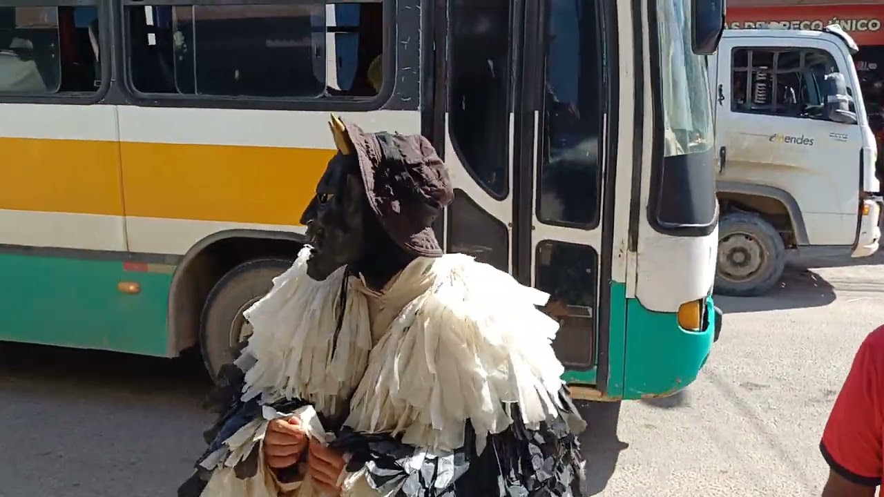 Lá ursa em Barreiros-pe 08/02/25