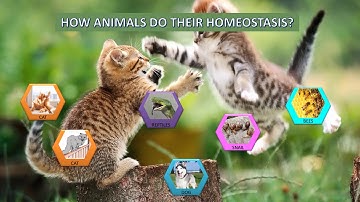 Coordination and Response