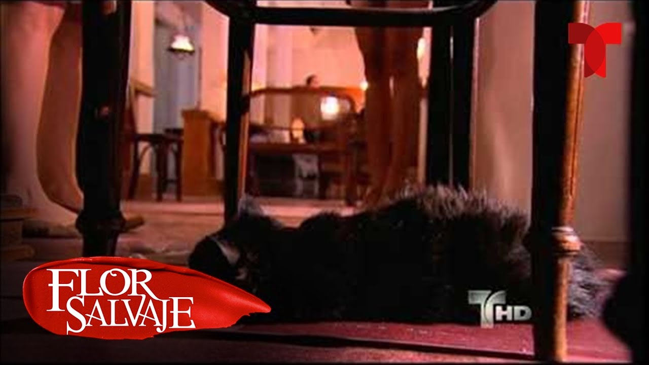 Flor Salvaje | Capítulo 71 | Telemundo