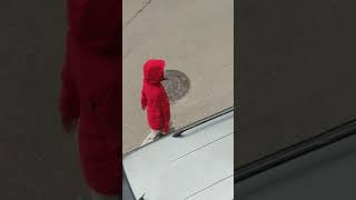 Sac Ma Sapan Bisey Cektim Neden Bilmiyom