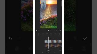 Is this the best InShot tool for viral edits? #inshot #videoediting #shorts