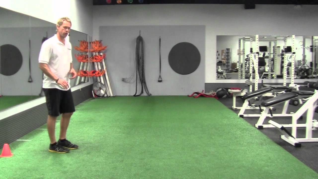 exercise 14.1 class 11 Walking Lunge