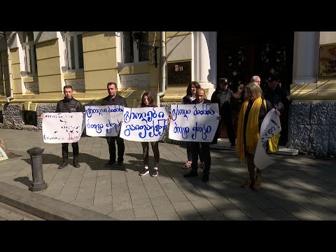 “ბოტების ქარხანა”- აქცია მთავრობის სახლთან