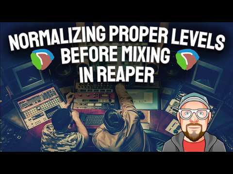 Normalizing Proper Levels Before Mixing in REAPER