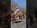 cabalgata de quicayan tecomatlan puebla mexico