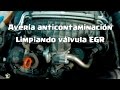 Desmontaje y limpieza valvula EGR seat Altea XL 2.0