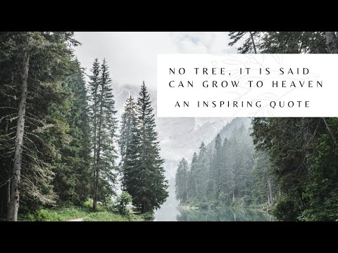htere is no tree it is said htere is no tree it is said