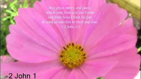 2 John 1 (with text - press on more info.)