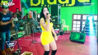 D'RADJA MUSIC - MADU TIGA - NIA KANSA - HAPPY PARTY ANAK RANTAU JERUKREJO DI KPRI DONOROJO JEPARA