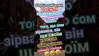 Сом збив з човна пляшку горілки))) #рибалка #рибалка2023 #сміхота #жартиукраїнською