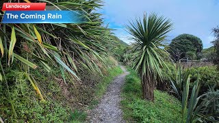 Journey Elsewhere - The Coming Rain - Paekākāriki Escarpment Track